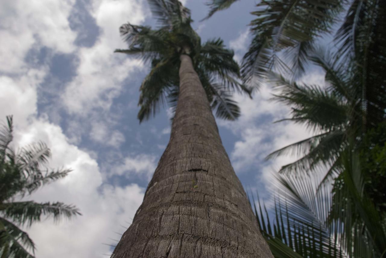 Eden Eco Village Kampot Dış mekan fotoğraf